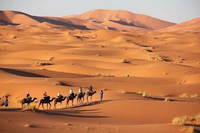 Merzouga Camel Trekking Camp 外观 照片